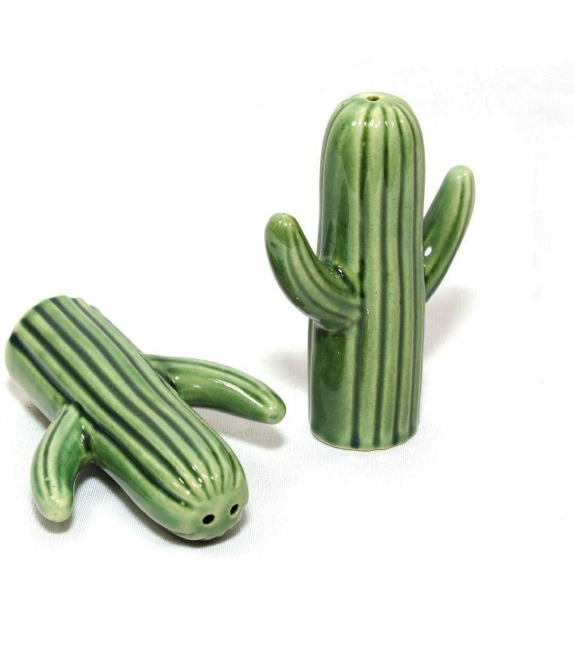 SOULCRAFTZ Salt and Pepper | Seasoning & Spice Shakers | Cactus Set Holder Dispensers Pepper Condiment 2 Pcs | (Green)